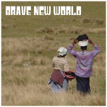 toe-b brave new world