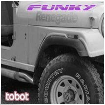 tobot funky renegade