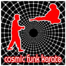 tobot cosmic funk karate